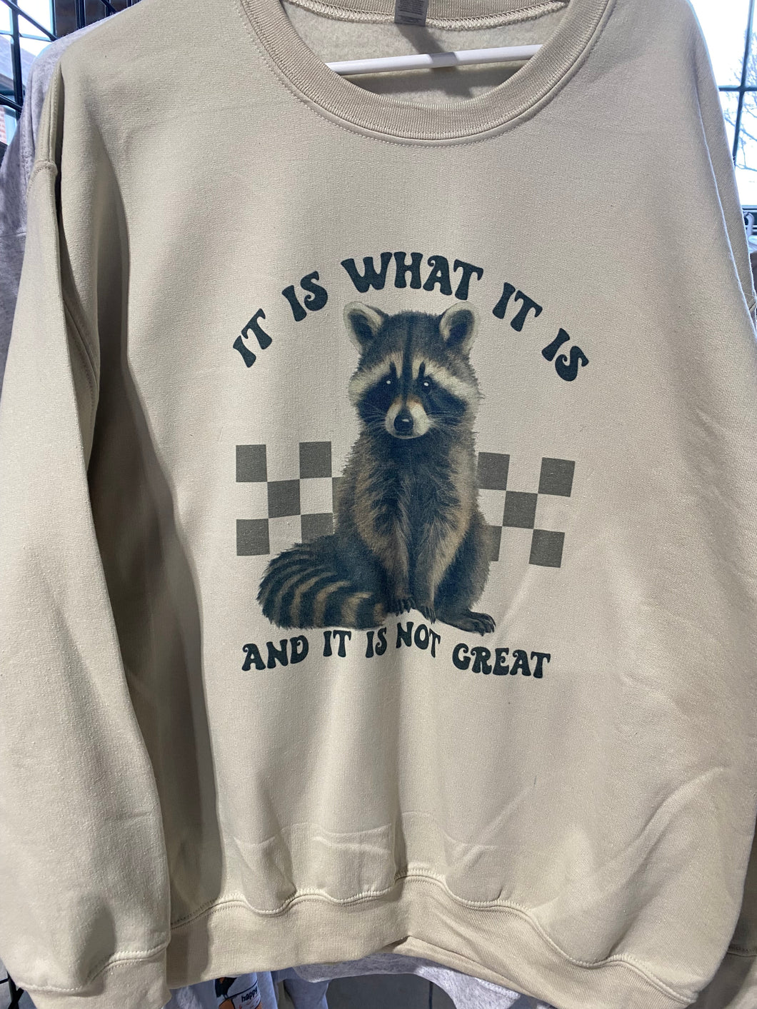 It is what it is Raccoon