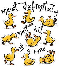 Load image into Gallery viewer, Ducks in a row Bleached Tshirt
