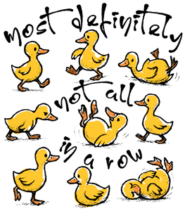 Ducks in a row Bleached Tshirt